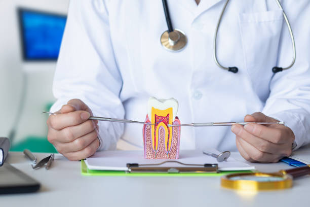 Best Emergency Dental Care for Abscessed Tooth in Warren, OR